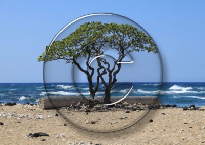 Beispiel - Wasserzeichen