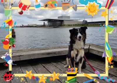 Wasserzeichen - Beispiel